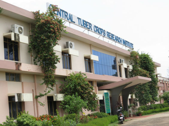 Welcome to ICTRT